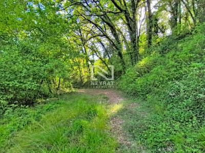Vente Terrain TOURRETTES 83440