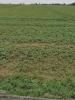 Annonce Vente Terrain Perigny