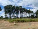 Vente Terrain Bourg 33