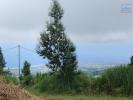 Annonce Vente Terrain Saint-gilles-les-hauts
