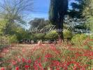 House ANDUZE 