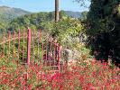 House ANDUZE 
