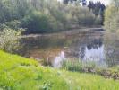 Annonce Vente Terrain Faucogney-et-la-mer