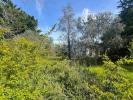Annonce Vente Terrain Arles