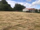 Vente Terrain Lavelanet-de-comminges 31