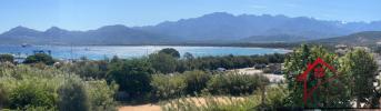 Vente Appartement Calvi 20