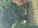 Vente Terrain Gujan-mestras 33