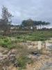 Acheter Maison Salles 276090 euros
