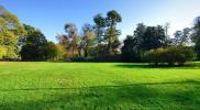 Annonce Vente 4 pi�ces Maison Sanguinet