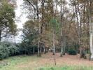 Vente Terrain Taillan-medoc 33