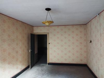 Vente Maison 10 pi�ces MACLAS 42520
