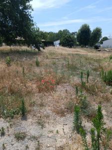 Vente Terrain SAINT-JEAN-DE-MONTS 85160