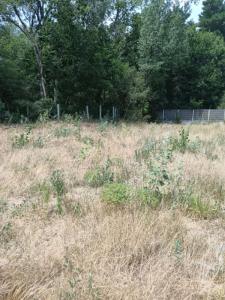 Vente Terrain SAINT-JEAN-DE-MONTS 85160