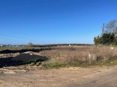Vente Terrain SAINT-JEAN-LE-BLANC 45650
