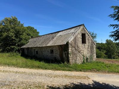 Vente Maison PLUVIGNER 56330