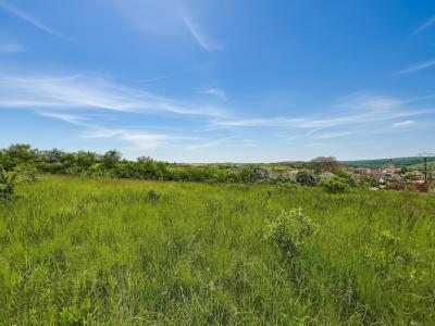 Vente Terrain FRANCHEVILLE  21
