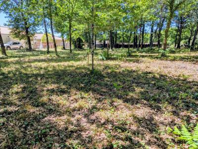 Vente Terrain BELIN-BELIET 33830
