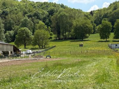 Vente Terrain LONGECHENAL 38690