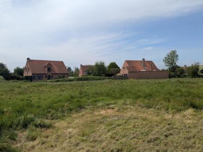 Vente Terrain NEUVILLE-EN-FERRAIN 59960