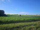 Annonce Vente 5 pi�ces Maison 
