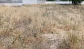 Vente Terrain Saint-jean-de-monts 85