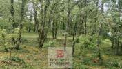 Annonce Vente 6 pi�ces Maison Gignac