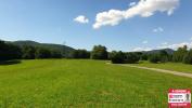 Land PLANCHER-BAS 