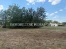 Annonce Vente Terrain Souesmes