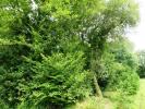 Annonce Vente Terrain Locmalo