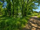 Land PRUNELLI-DI-FIUMORBO 