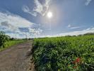 Annonce Vente Terrain Lamentin