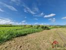 Acheter Terrain 590 m2 Lamentin