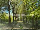 Annonce Vente Prestige Lamotte-beuvron