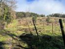 Land  ACCESSIBLE