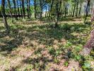 Annonce Vente Terrain Belin-beliet