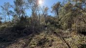 Forested aera ENTRECASTEAUX 