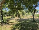 Annonce Vente Terrain 