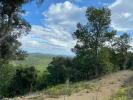 Annonce Vente Terrain Taillet