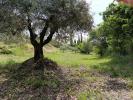 Land MANOSQUE 