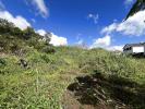 Annonce Vente Terrain Plaine-des-palmistes
