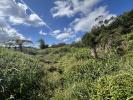Acheter Terrain 469 m2 Plaine-des-palmistes