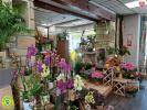 Annonce Vente Local commercial Saint-florent-sur-cher