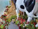 Acheter Local commercial Saint-florent-sur-cher Cher