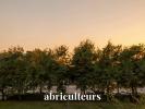 Acheter Appartement 55 m2 Paris-13eme-arrondissement