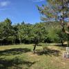 Acheter Maison Buis-les-baronnies Drome