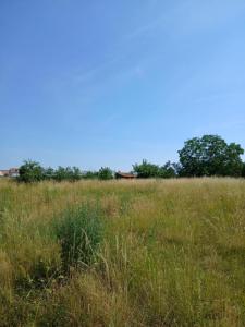 For sale House OSTHOFFEN  67