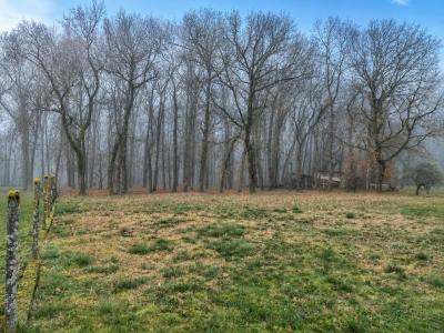 For sale Land PECHBONNIEU  31