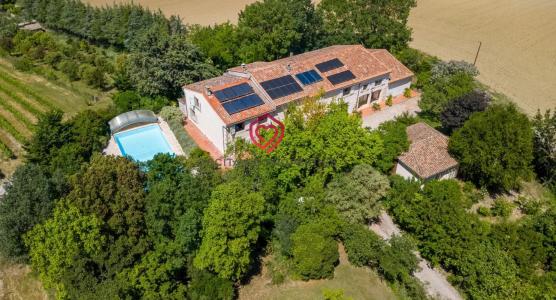 Vente Prestige BELVEZE-DU-RAZES 11240