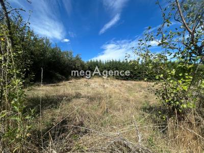 Vente Terrain SAINT-GALMIER 42330