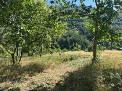 Vente Terrain SABLIERES 07260
